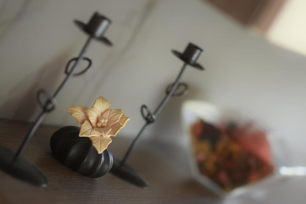 B&B Villa Lodigiana 브루케리오 외부 사진